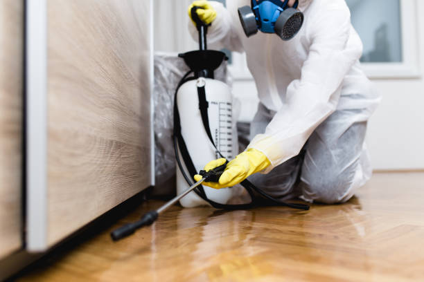 Best Wasp Removal Services  in Lmyra, PA