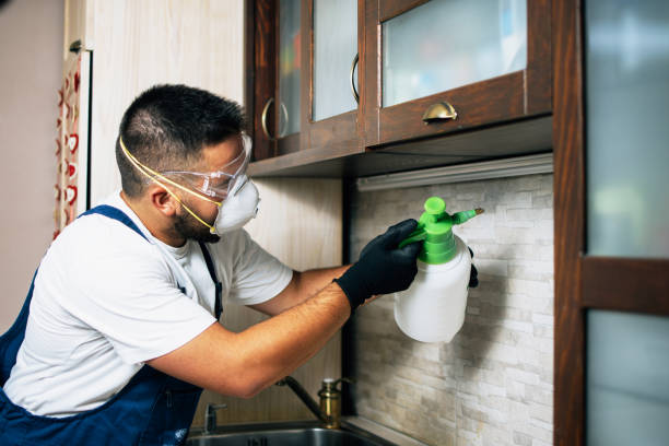 Best Wildlife Control Services  in Lmyra, PA