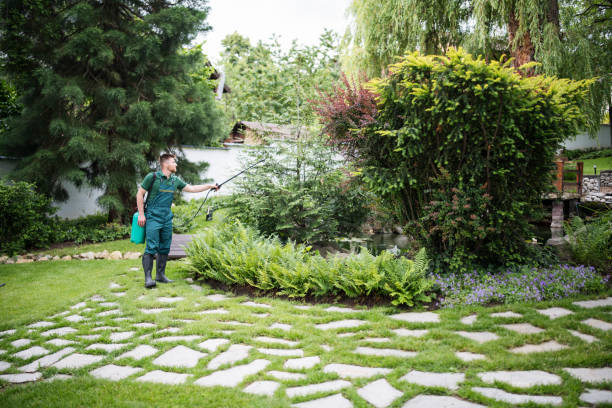 Best Pest Prevention Services  in Lmyra, PA