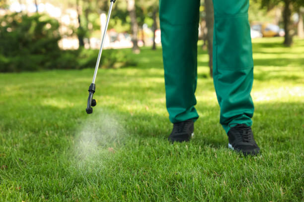 Trusted Palmyra, PA Pest Control Experts
