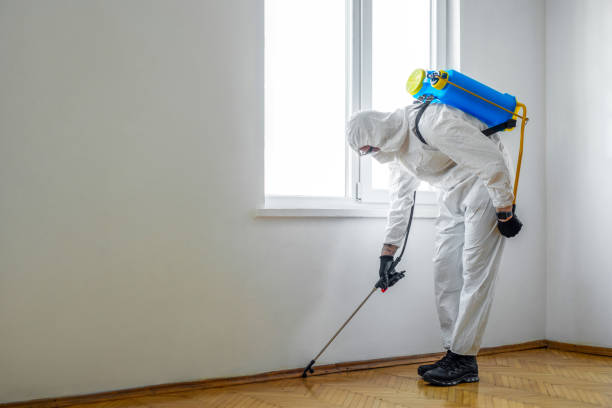 Best Affordable Pest Control Services  in Lmyra, PA