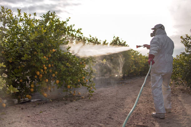 Best Pest Removal Services  in Lmyra, PA
