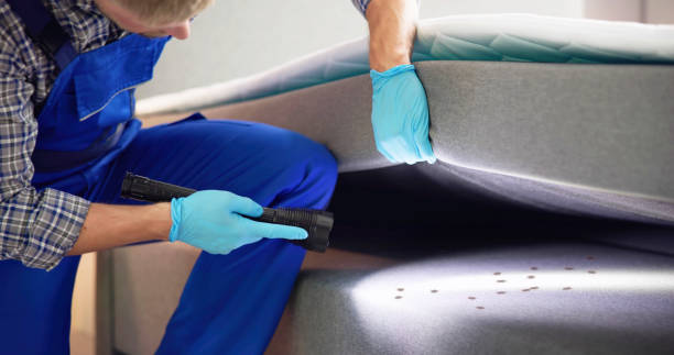 Best Bed Bug Extermination  in Lmyra, PA