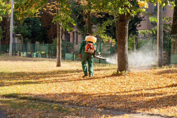 Best Best Pest Control Companies  in Lmyra, PA