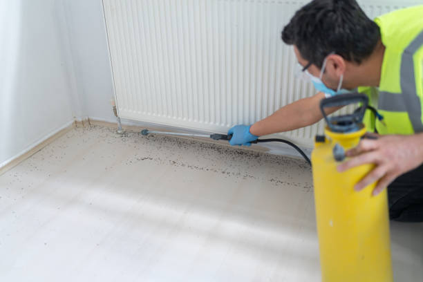 Best Best Pest Control Companies  in Lmyra, PA