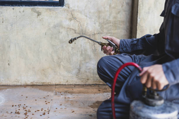 Best Local Pest Control Services  in Lmyra, PA